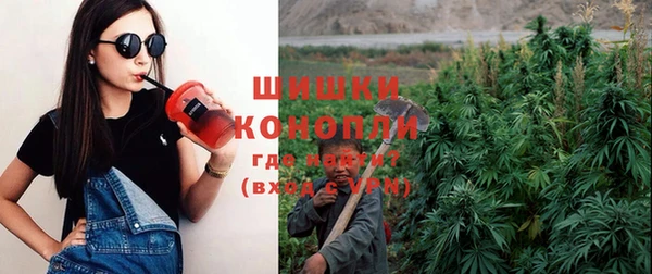 амф Абинск