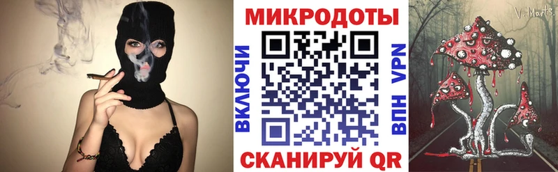 Псилоцибиновые грибы Psilocybe  где найти наркотики  Нестеровская 